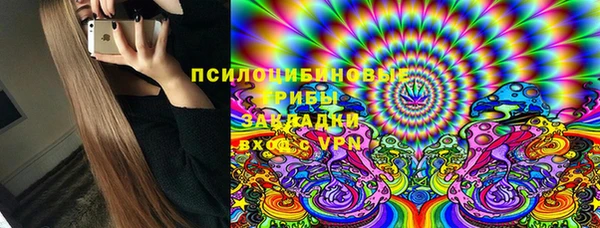 2c-b Чекалин
