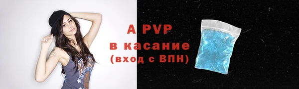 индика Туринск