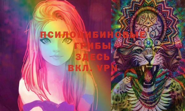 бошки Чегем