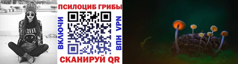 Галлюциногенные грибы мицелий  гидра вход  Феодосия  наркошоп 